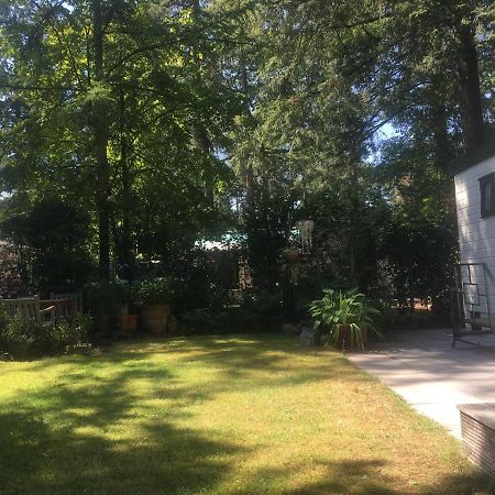 Sfeervol Vakantiehuisje In Bosrijke Omgeving 福尔登 外观 照片