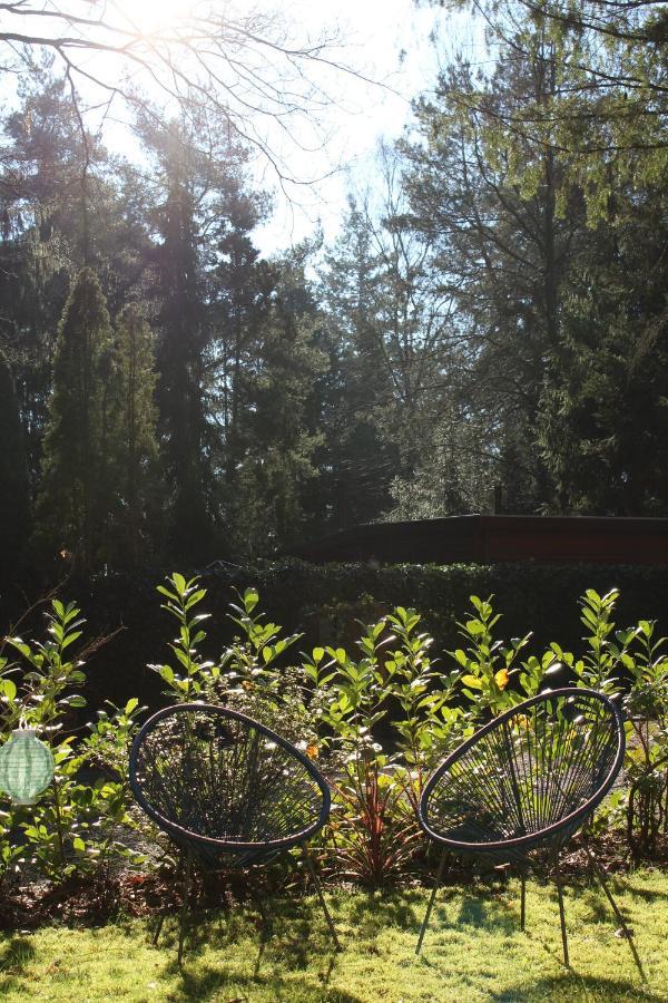 Sfeervol Vakantiehuisje In Bosrijke Omgeving 福尔登 外观 照片
