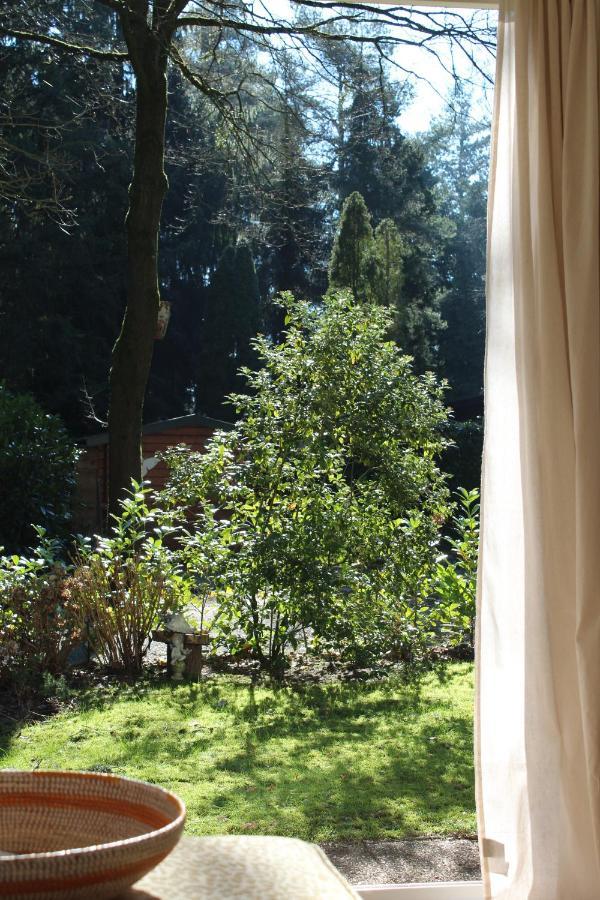 Sfeervol Vakantiehuisje In Bosrijke Omgeving 福尔登 外观 照片