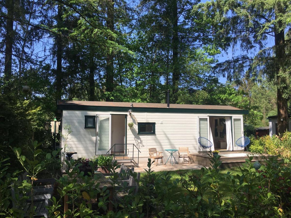Sfeervol Vakantiehuisje In Bosrijke Omgeving 福尔登 外观 照片